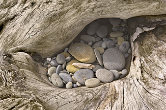 Driftwood Pebble Pocket