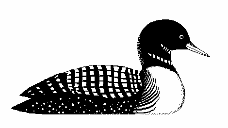 Loon in MacPaint